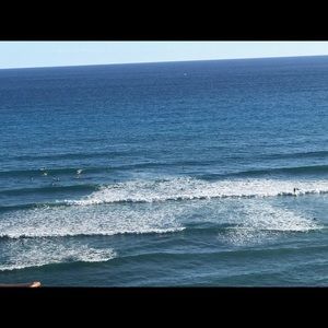 Meet your Posher, Schenecta